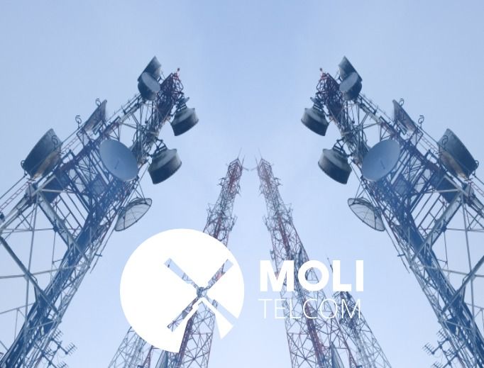 Logo corporativo de Moli Telcom